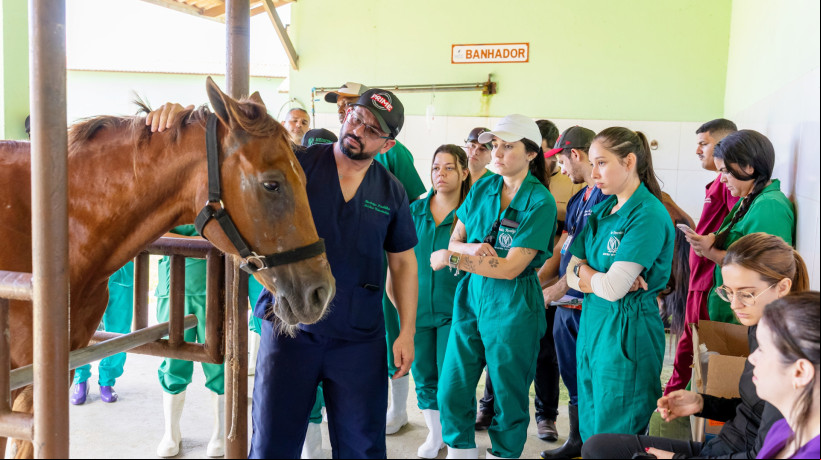 A UniAteneu oferta o Curso de Medicina VeterinÃ¡ria nas unidades acadÃªmicas Lagoa de Messejana e Harmony â Bezerra de Menezes 